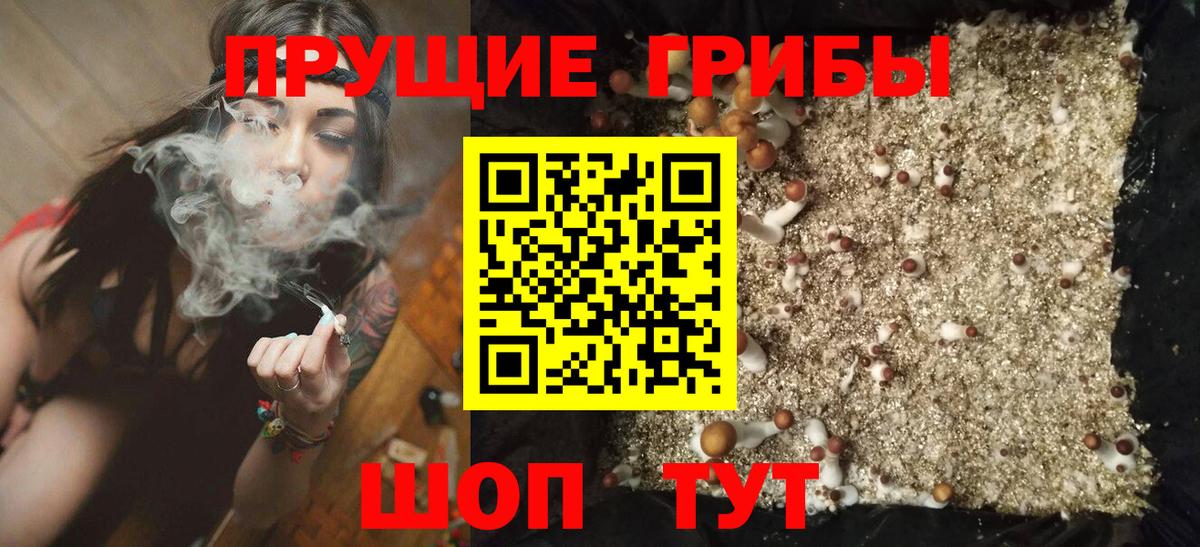 Галлюциногенные грибы прущие грибы Сунжа